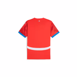 Czech Republic Home Shirt 2024/25 - XL