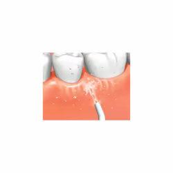 Panasonic - EW1211W - Dentacare Rechargeable Oral Irrigator