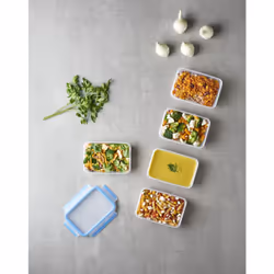 Tefal MasterSeal N10307 Rectangular Box 0.8 L Blue, Transparent 5 pc(s)