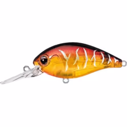 Daiwa  Daiwa  Evergreen Cr Crank 10ft Color  19 Pre Spawn Dynamite