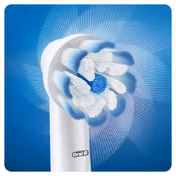 Oral-B EBS 17-3 2 pc(s) Blue, White - Additional view 3