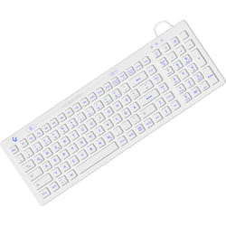 KeySonic KSK-6031INEL keyboard Industrial USB QWERTZ German White