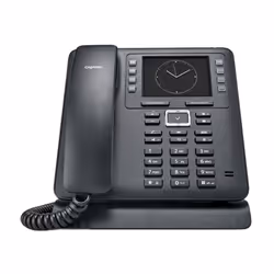 Gigaset Maxwell 2 IP phone Black 2 lines