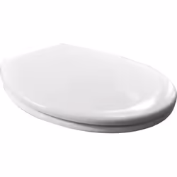 Heavy Duty Soft Close Quick Release Toilet Seat with Dual Fixing Fittings,White