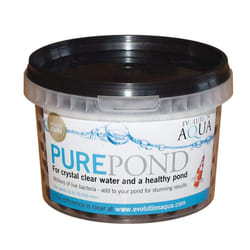 Pure Pond