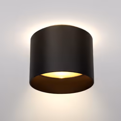 Maytoni C009CW-L12B ceiling lighting LED G