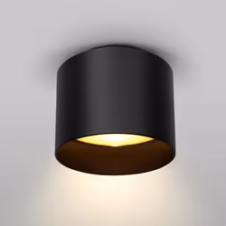 Maytoni C009CW-L12B ceiling lighting LED G