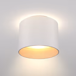 Maytoni C009CW-L12W ceiling lighting LED G