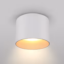 Maytoni C009CW-L12W ceiling lighting LED G