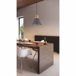 Maytoni P359-PL-220-C ceiling lighting E27