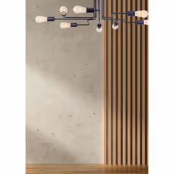 Maytoni T532CL-08B ceiling lighting E27