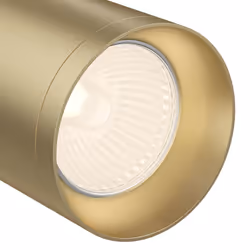 Maytoni C017CW-01MG ceiling lighting GU10