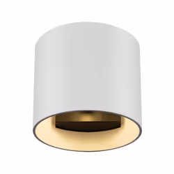 Maytoni C066WL-01W wall lighting G9