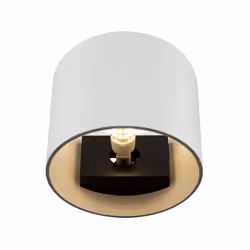 Maytoni C066WL-01W wall lighting G9