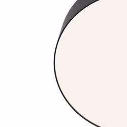 Maytoni C032CL-L43B4K ceiling lighting LED F