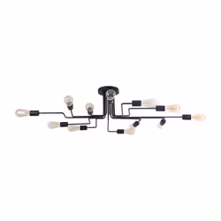 Maytoni T532CL-12B ceiling lighting E27