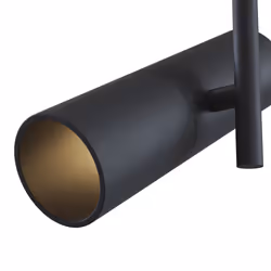 Maytoni C020CL-01B ceiling lighting GU10