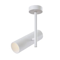 Maytoni C020CL-01W ceiling lighting GU10