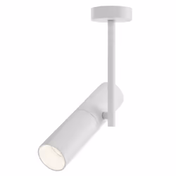 Maytoni C020CL-01W ceiling lighting GU10