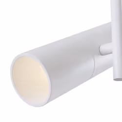 Maytoni C020CL-01W ceiling lighting GU10