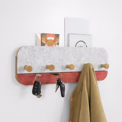 SoBuy FHK16-R clothing hanger