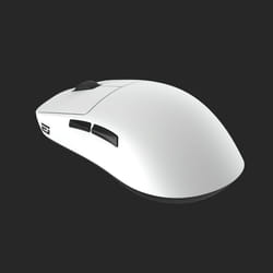 Endgame Gear OP1we mouse Gaming Right-hand USB Type-A Optical 19000 DPI