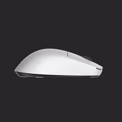 Endgame Gear OP1we mouse Gaming Right-hand USB Type-A Optical 19000 DPI