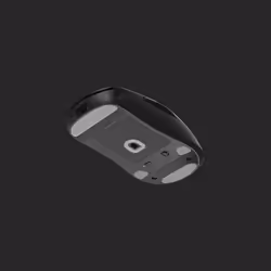 Endgame Gear OP1we Mouse feet