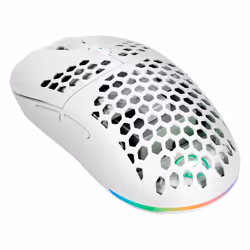 GAMIAC PX71, Ambidextrous, Optical, RF Wireless, 16000 DPI, White