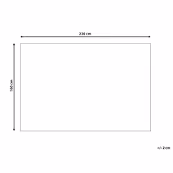 Area Rug 160 x 230 cm Off-White ERZIN