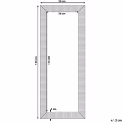 Wall Mirror DRAVEIL 50 cm 130 cm Gold