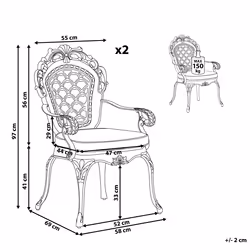 Set of 2 Garden Chairs with Cushions LIZZANO Metal Dark Brown