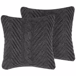 Set of 2 Decorative Cushions KONNI Cotton 45 x 45 cm Grey Chevron Pattern