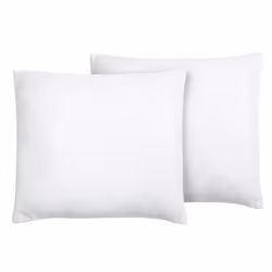Set of 2 Pillows ERRIGAL Low Microfibre 80 x 80 cm White