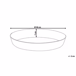 Decorative Tray Gold SUEZ