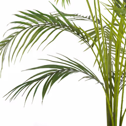 Artificial Potted Plant 124 cm ARECA PALM
