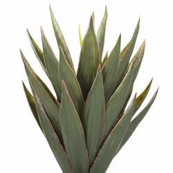 Artificial Potted Plant 52 cm YUCCA