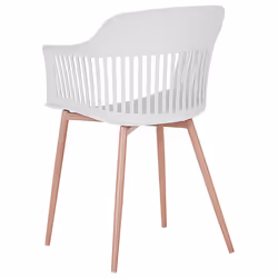 Set of 2 Dining Chairs BERECA White