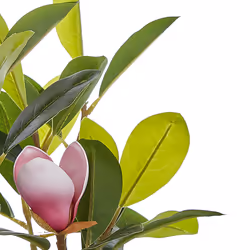 Artificial Potted Plant 70 cm MAGNOLIA