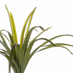 Artificial Potted Plant 147 cm DRACAENA ANITA