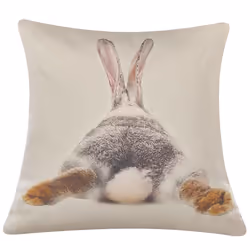 Set of 2 Cushions Rabbit Print 45 x 45 cm Taupe BUXUS