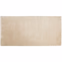 Viscose Area Rug 80 x 150 cm Beige GESI II