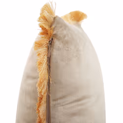 Set of 2 Fringed Velvet Cushions 30 x 50 cm Beige POTHOS