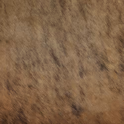 Cowhide Rug 3-4 mÂ² Light Brown NASQU