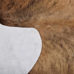 Cowhide Rug 3-4 mÂ² Light Brown NASQU