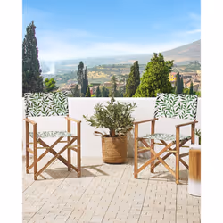 Set of 2 Garden Chairs CINE Acacia Wood White