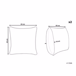 Set of 2 Cushions 45 x 45 cm White HELIOTROPE