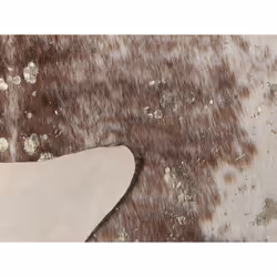 Faux Cowhide Area Rug with Spots 130 x 170 cm Brown with Gold BOGONG