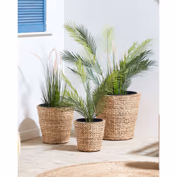 Set of 3 Plant Pots PLAKA Wicker Natural
