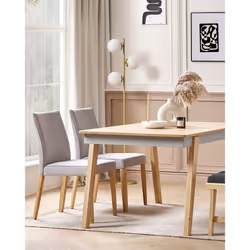 Set of 2 Dining Chairs PHOLA Grey